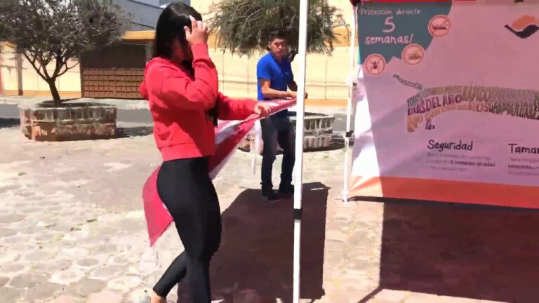 Gu&iacute;a Completa para la Personalizaci&oacute;n de Toldos de Hierro