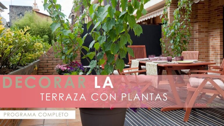 Aprovecha el Aire Libre en &Aacute;ticos con Terraza Cubierta