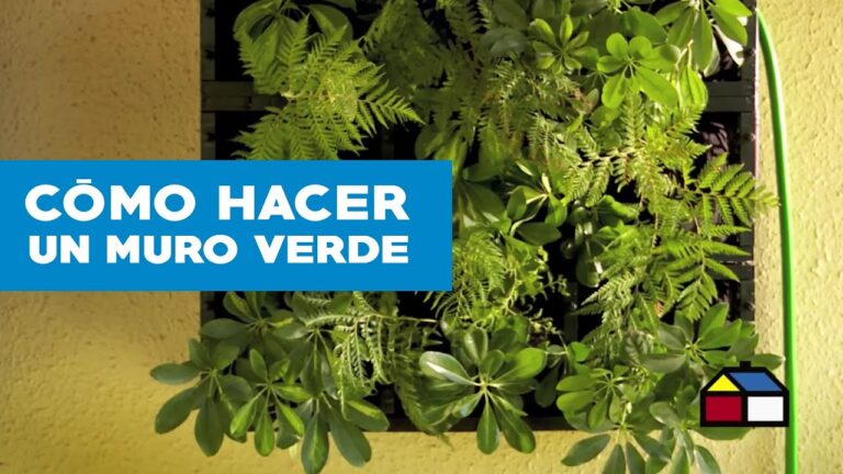Guía para Decorar Terrazas con Paredes Verdes
