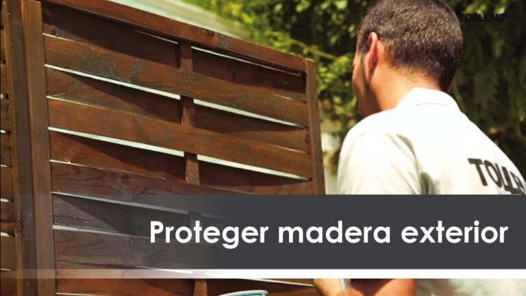 Pérgolas de Madera Tratada: Durabilidad y Estilo en tu Espacio Exterior