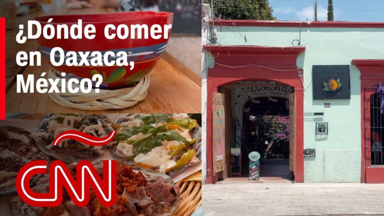 Terrazas Gourmet: Experiencias Culinarias Diversas para Cenar
