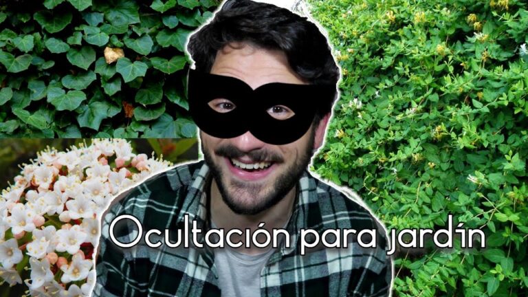Privacidad en Jardines Colgantes: Cerramientos Exteriores Efectivos