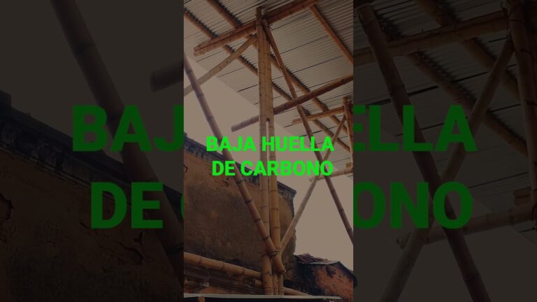 Creando Ambientes Naturales con Toldos de Bambú