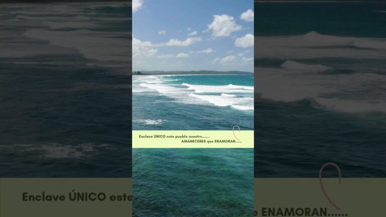 Oasis de Calma en &Aacute;ticos: Espacios de Serenidad y Estilo