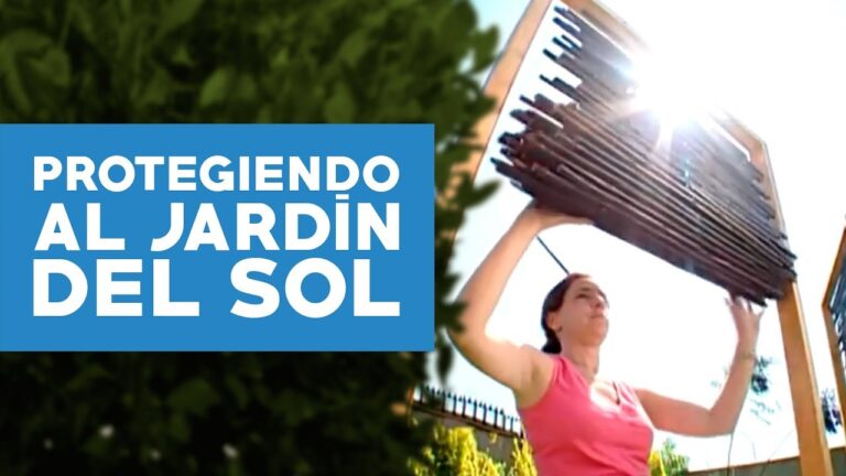 Pérgolas: La Solución Ideal para Jardines Sombreados