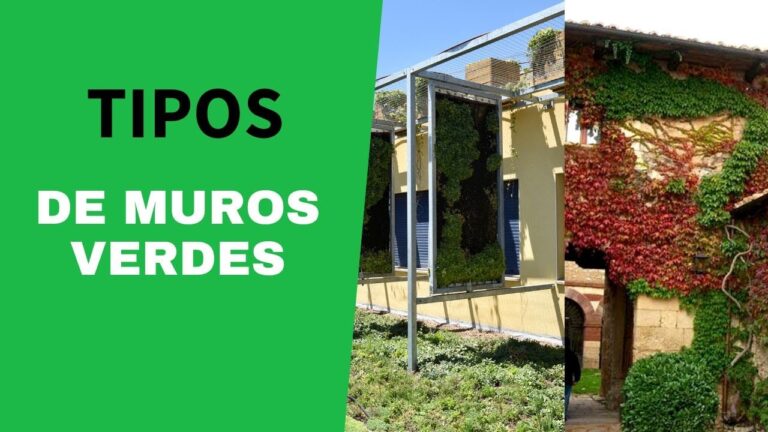 Estructuras Eficientes para Jardines Verticales en Cerramientos Exteriores