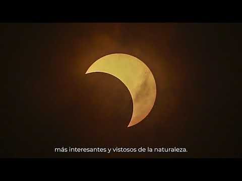 Protege tu hogar del sol con cortinas de cristal